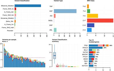 Genetic landscape of breast cancer subtypes following radiation therapy: insights from comprehensive profiling